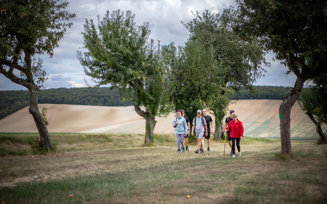 En avant… marche !