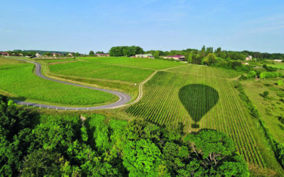 Portraits de vignerons