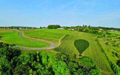 Portraits de vignerons